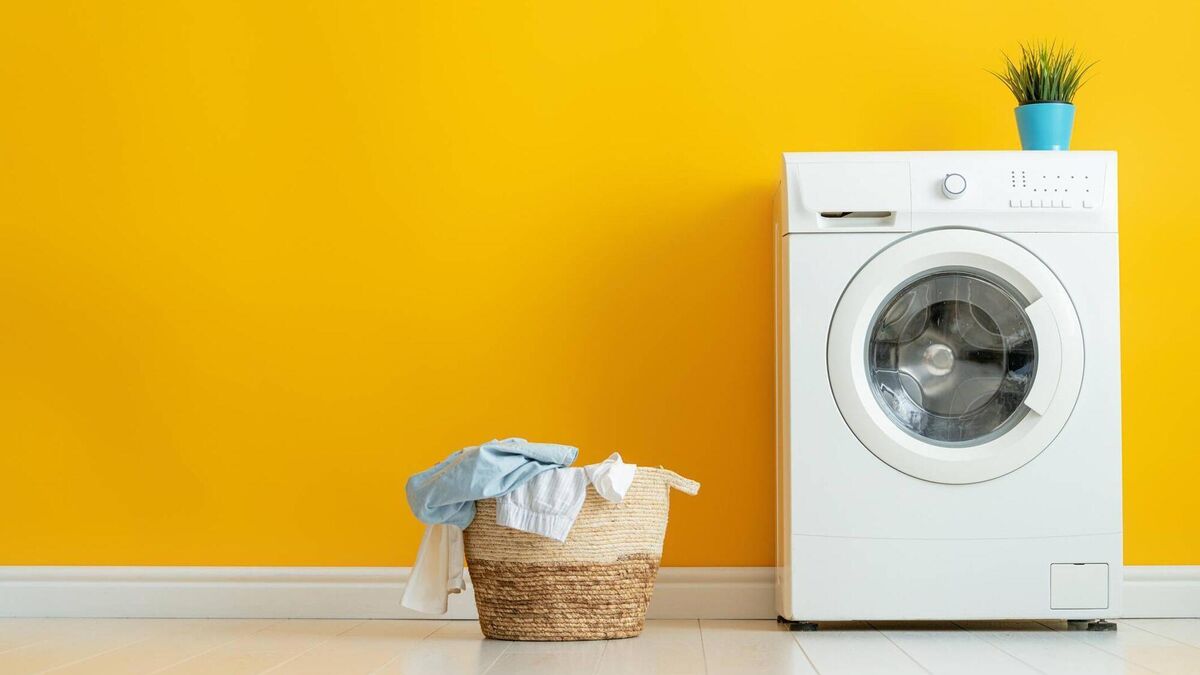 Julie Jay: I've finally bought a clothes dryer after 817 consecutive days of rain - Vimarsana News