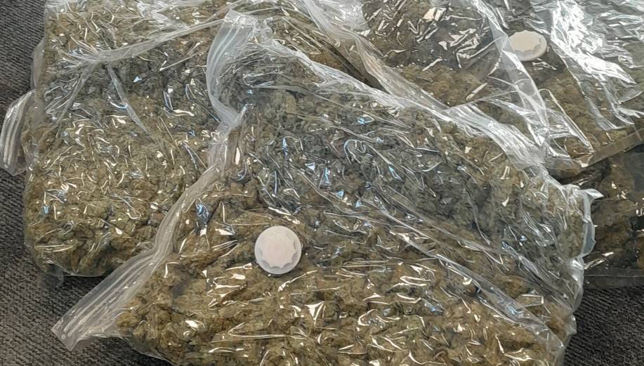 Two arrested after €121k worth of cannabis seized in Co Waterford