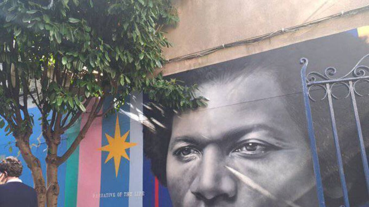 Mural celebrating Frederick Douglass unveiled in Cork city - Vimarsana News