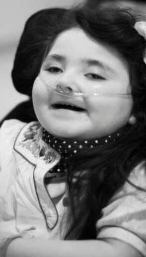 Daisy McDonald Byrne. She was the 18th person to use the water cremation service. Photo: Twitter/X @daisysdays0213 Daisy McDonald Byrne. She was the 18th person to use the water cremation service. Photo: Twitter/X @daisysdays0213