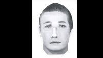 Gardaí release photofit of sex assault suspect