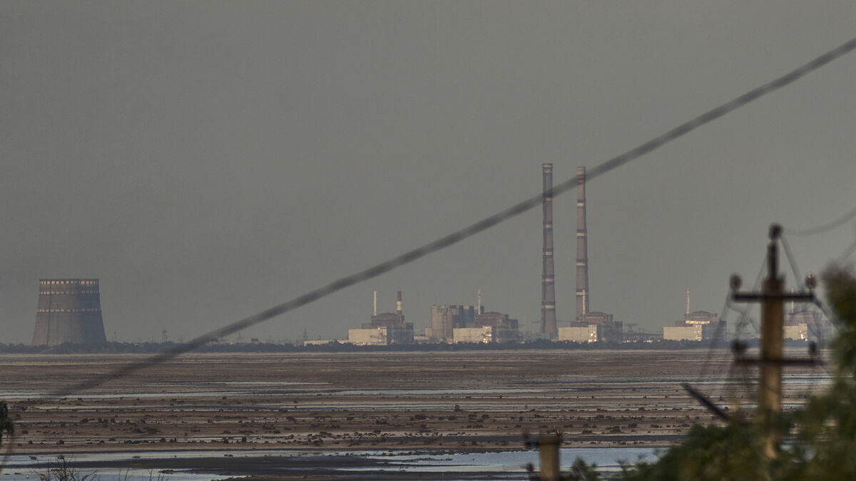 Adi Roche warns of nuclear threat from war in Ukraine on Chernobyl anniversary - Vimarsana News