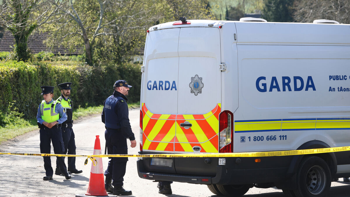 Mick Clifford: Behaviour of gardaí under intense scrutiny - Vimarsana News