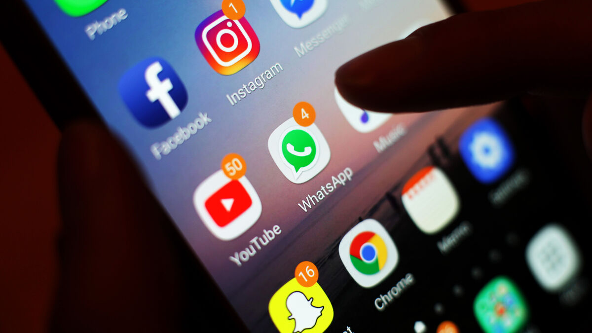 Enforce 'robust' age verification on all social media, Foley tells commissioner - Vimarsana News