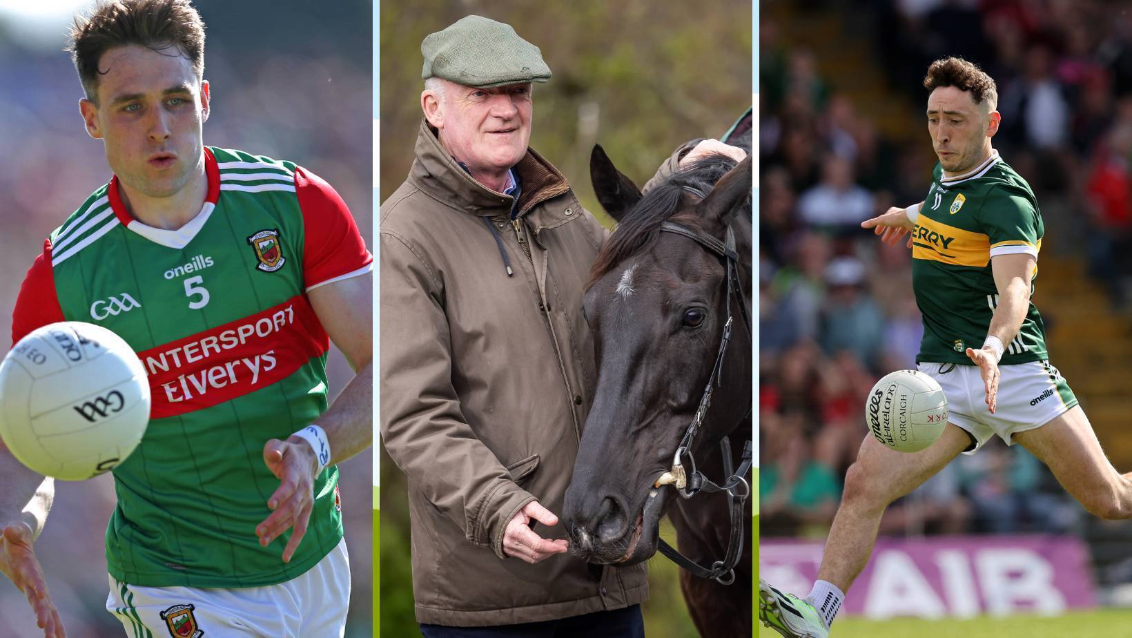 Your sport on TV this week: Punchestown Festival, Provincial football finals and European Rugby semi-finals