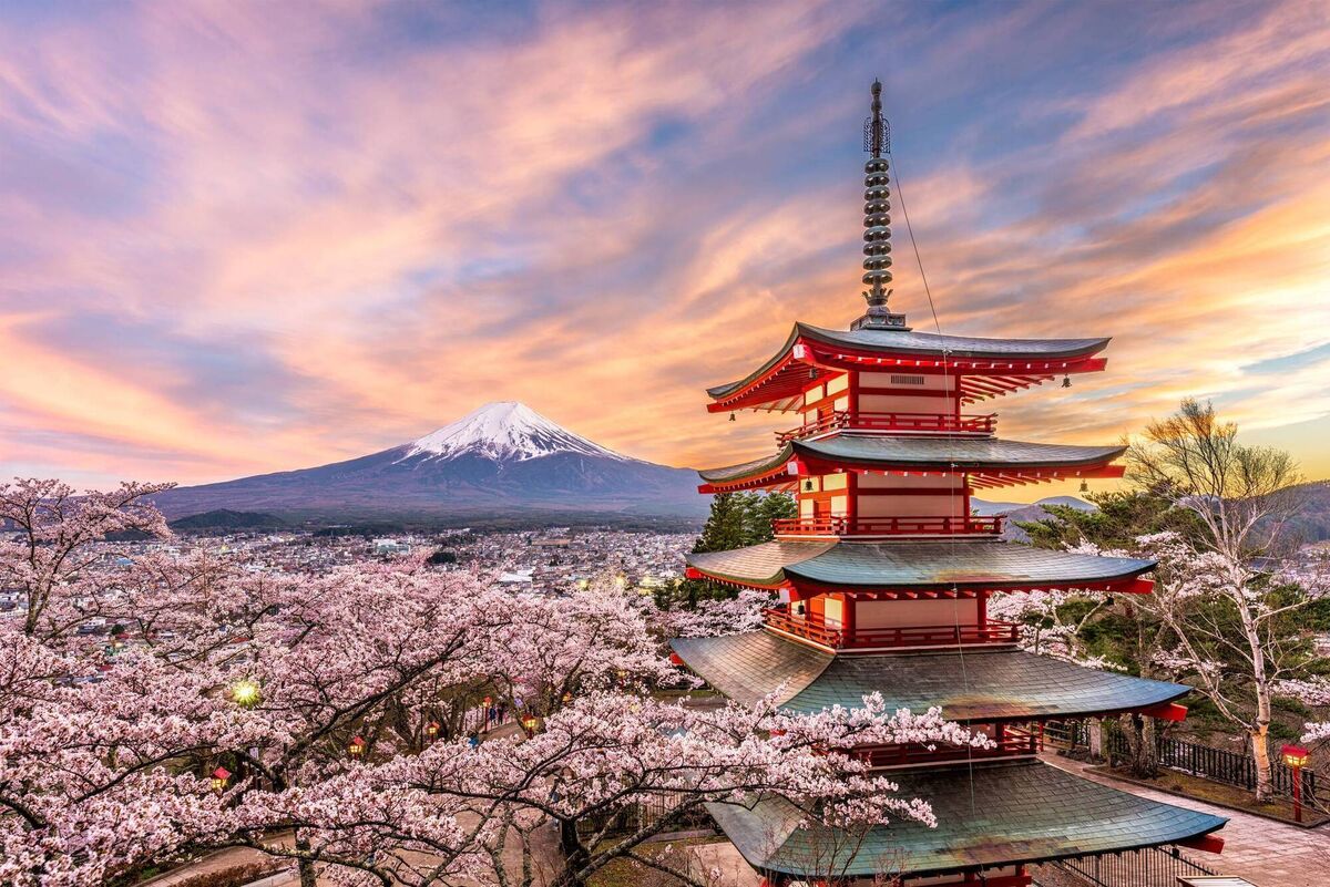 Fujiyoshida at Chureito Pagoda and Mount Fuji in the spring with cherry blossoms. Sakura festivals are held across the country and are marked by gatherings with picnics, parties and sake, all under the canopy of cherry blossoms. Picture: iStock