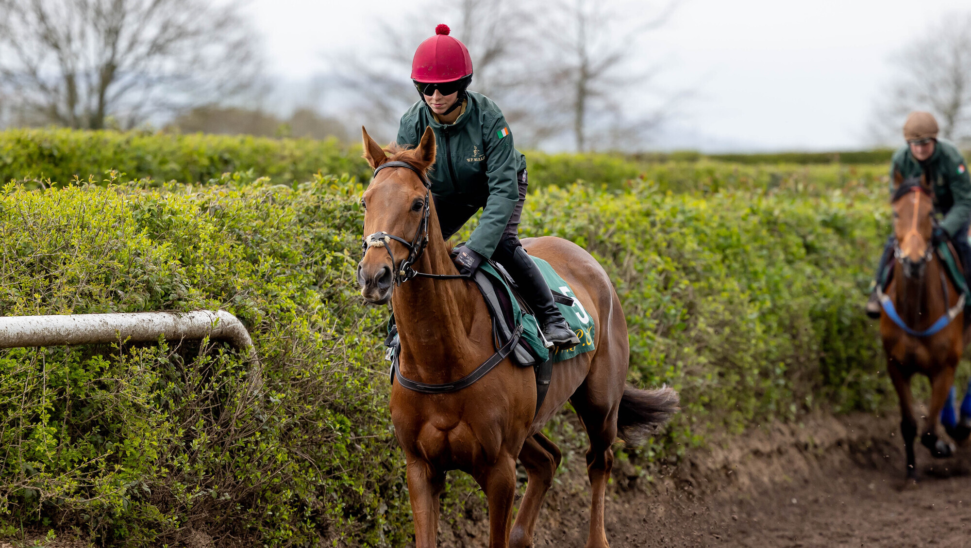 Punchestown festival day one tips: Dinoblue can get back to winning ways 