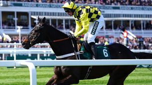<p>CLASS ACT: Shishkin won twice at the Cheltenham Festival but his finest hour came when getting the better of Energumene in the  Clarence House Chase.  	Picture: David Davies/PA</p>