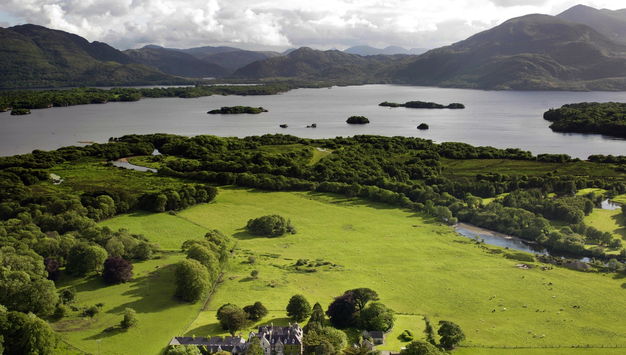 Ireland's efforts evolve over half a century to try and control the invasive rhododendron