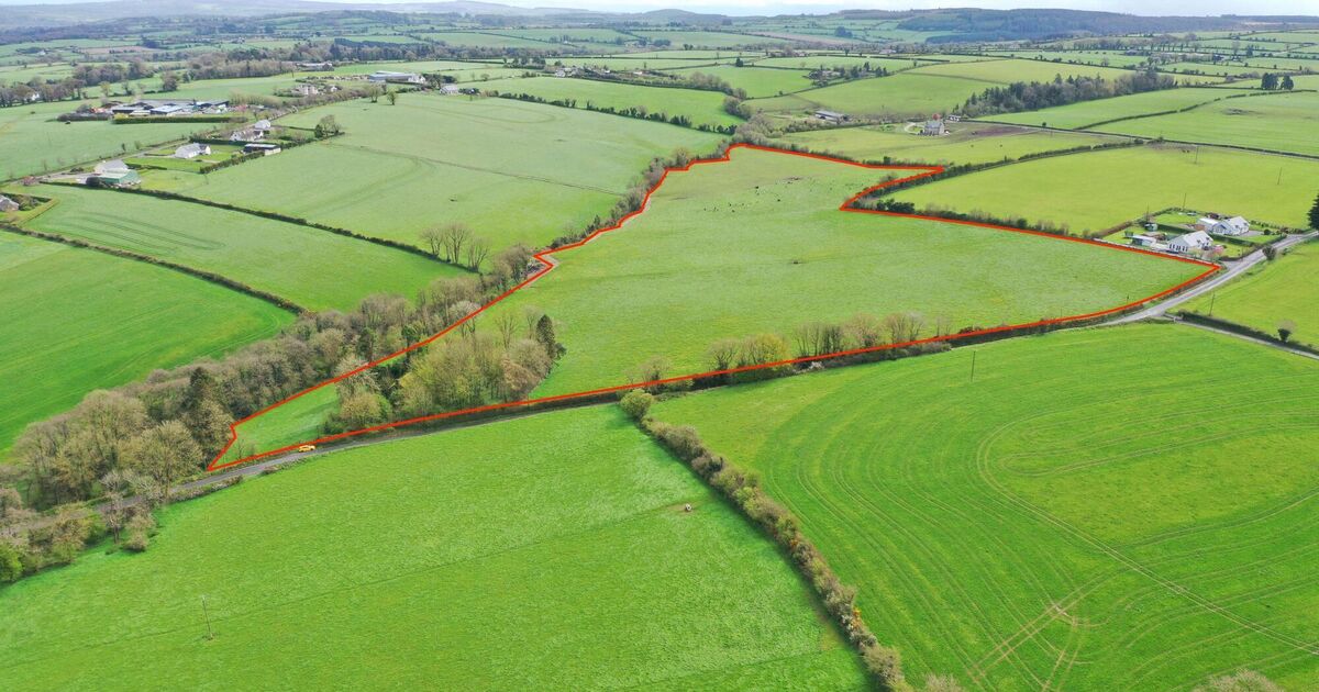 27acre West Waterford land already exceeding €15k/acre price guide