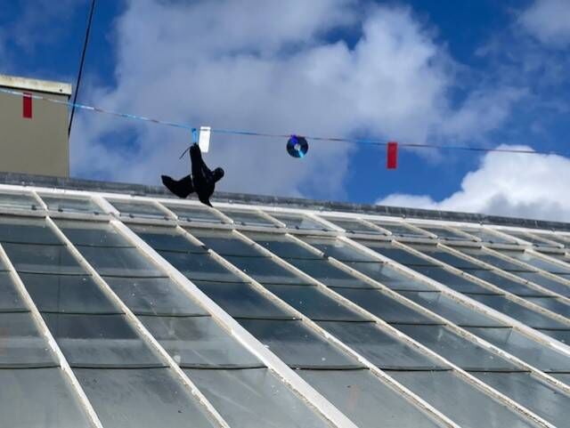 The National Parks and Wildlife Service in Kerry has installed a scarecrow and shiny discs and red flags on string over the roof of the carefully restored Muckross houses where crows had been damaging the putty. Pictures: Anne Lucey The National Parks and Wildlife Service in Kerry has installed a scarecrow and shiny discs and red flags on string over the roof of the carefully restored Muckross houses where crows had been damaging the putty. Pictures: Anne Lucey
