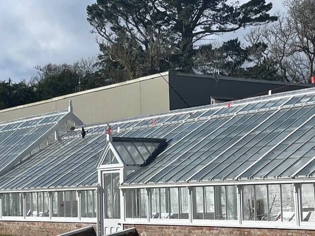 The scarecrow and shiny discs and red flags on string over the roof at Muckross houses where crows had been damaging the putty. Pictures: Anne Lucey The scarecrow and shiny discs and red flags on string over the roof at Muckross houses where crows had been damaging the putty. Pictures: Anne Lucey