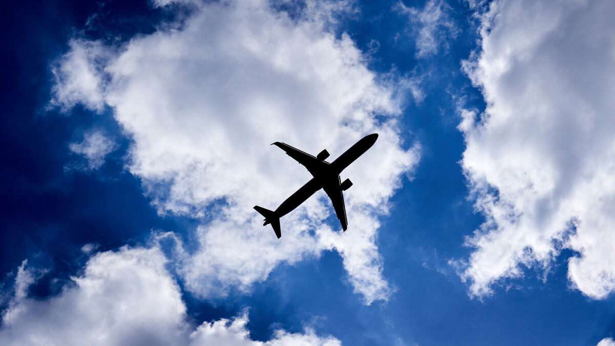 'Urgent collective action needed to reduce transport emissions' - Vimarsana News