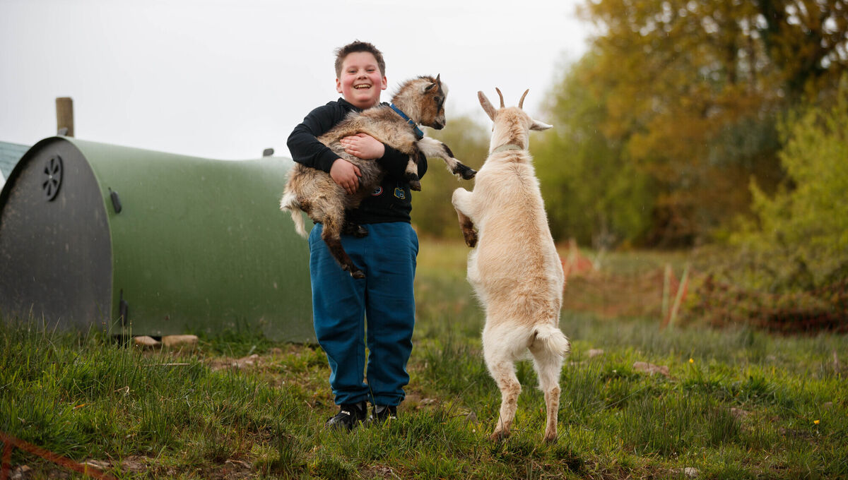 Ollie O'Meara with his goat Carmel Cookie and his cousins' goats Daisy and Messi on the farm near Gallows Hill, Cratloe, Clare. Picture : Eamon Ward