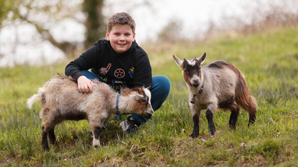 Meet 11-year-old Ollie from Clare: Is he Ireland's smartest kid? - Vimarsana News