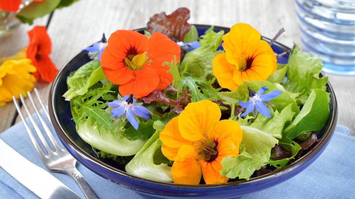 How to use edible flowers to make food look and taste fab - Vimarsana News