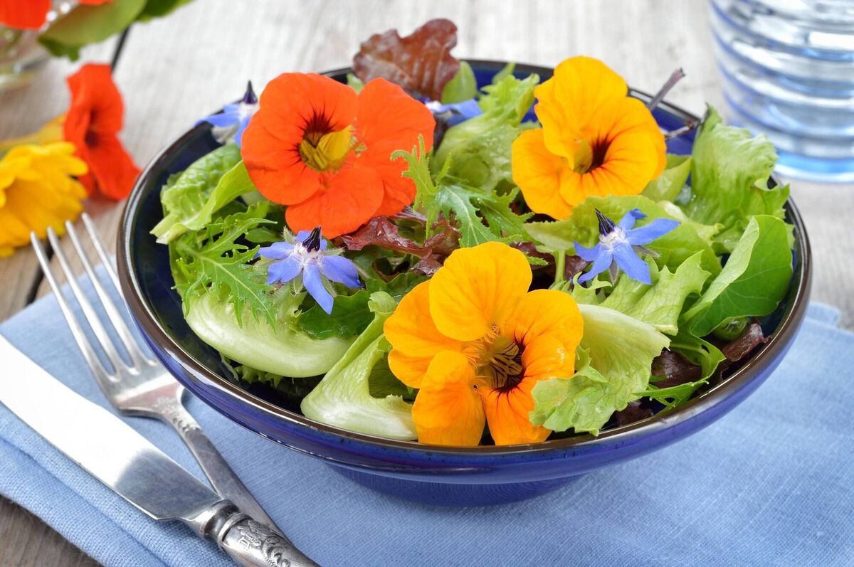 Nasturtiums used on a salad. Pictures: Alamy/PA