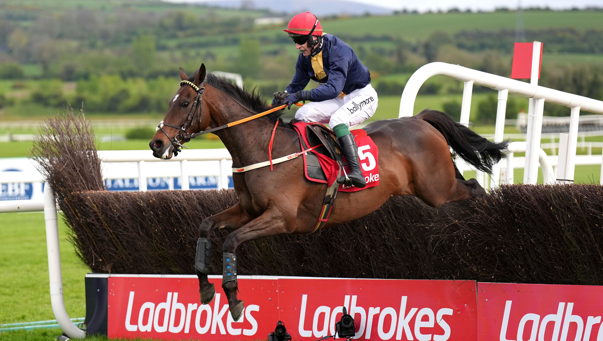 Fastorslow repeats feat to claim another golden moment at Punchestown 