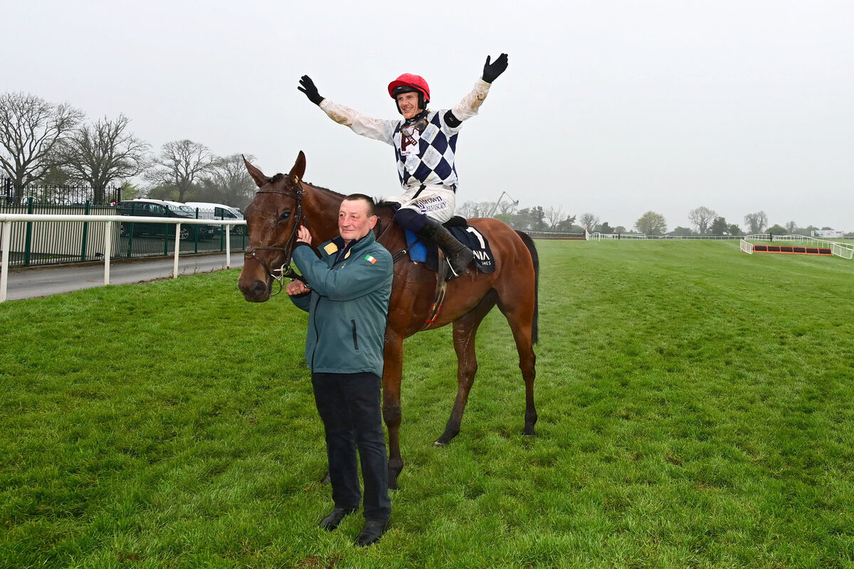 Ballyburn and Paul Townend win The Alanna Homes Champion Novice Hurdle (Grade 1) for trainer Willie Mullins
