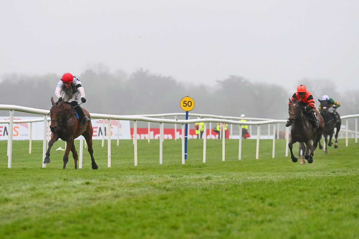 Ballyburn and Paul Townend win The Alanna Homes Champion Novice Hurdle (Grade 1) for trainer Willie Mullins.
