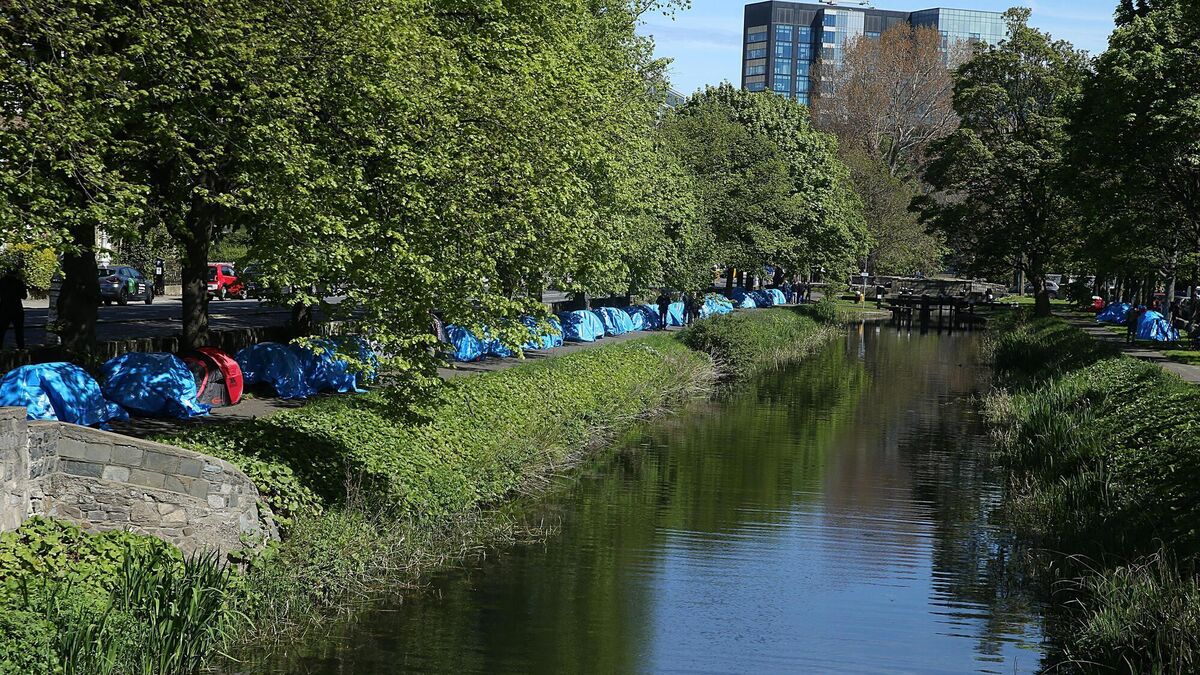 WATCH: 'We have poets, painters and asylum seekers now on the Grand Canal...' - Vimarsana News