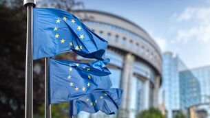 <p>Some 450m people in 27 countries are eligible to vote for a new European parliament. This may the most important EU election in history. We all need to take it seriously. Picture: iStock</p>