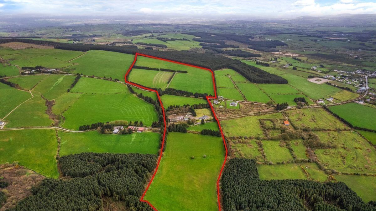 75-acre quality Cork holding likely to sell in lots - Vimarsana News