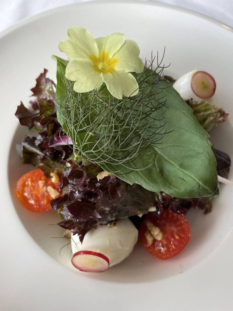 Toonsbridge Mozzarella