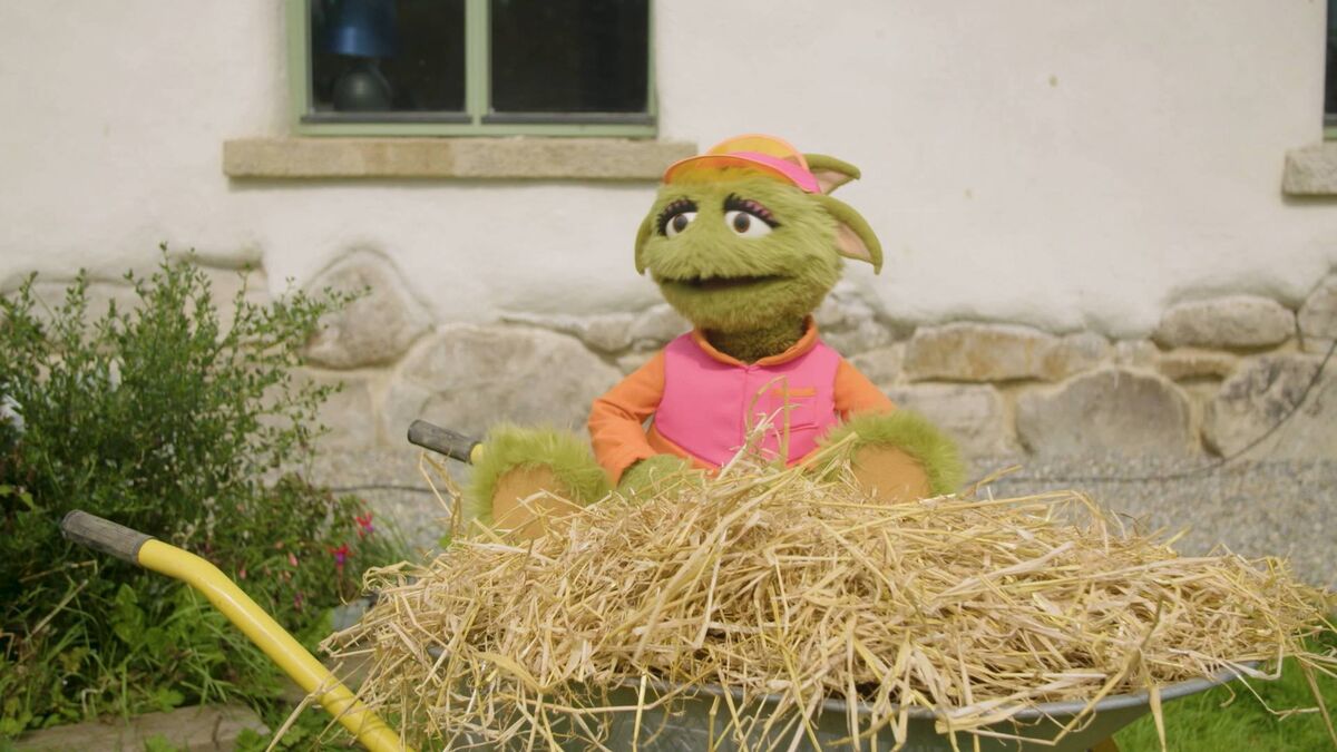 Captain Zoom and her crew are back to find out all just how awesome planet earth is!