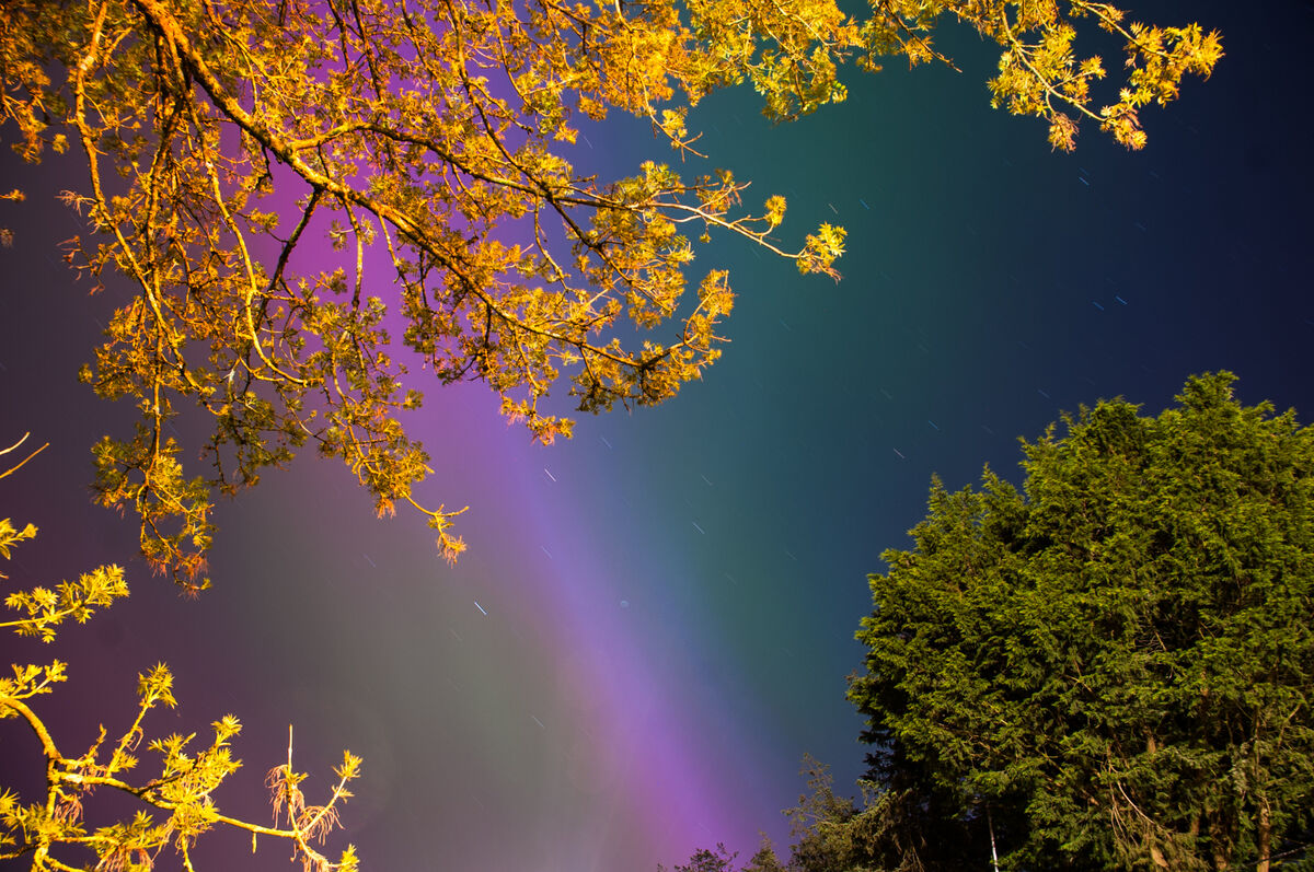 Northern Lights illuminating the Irish skies on Friday and were visible since midnight. Captured in Newport town, County Tipperary.