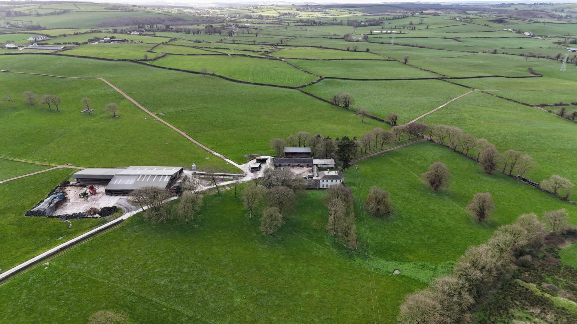 €3m guide price for 190-acre dairy farm in the Golden Vale