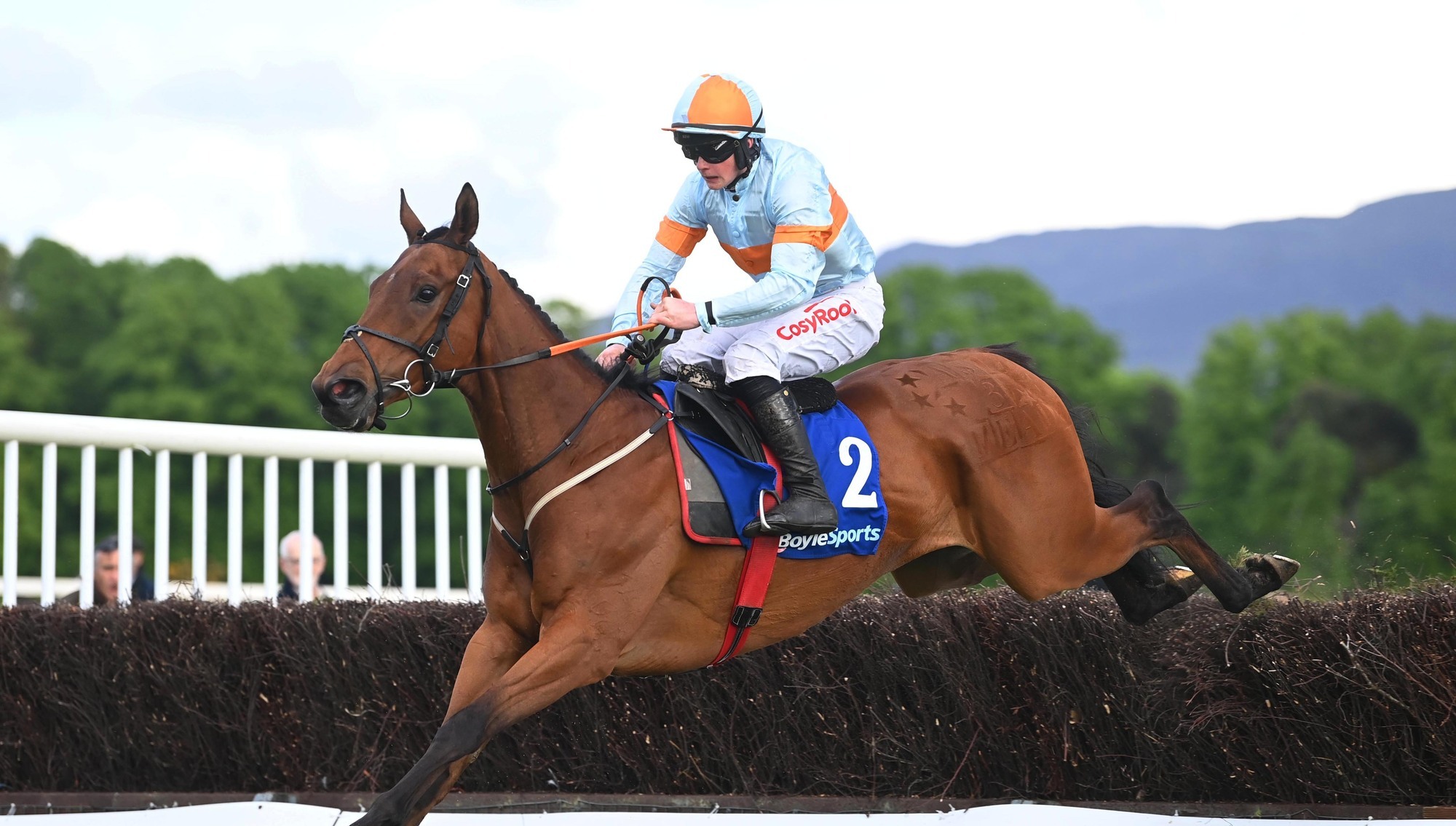 Sam Ewing wins in style aboard Ash Tree Meadow 