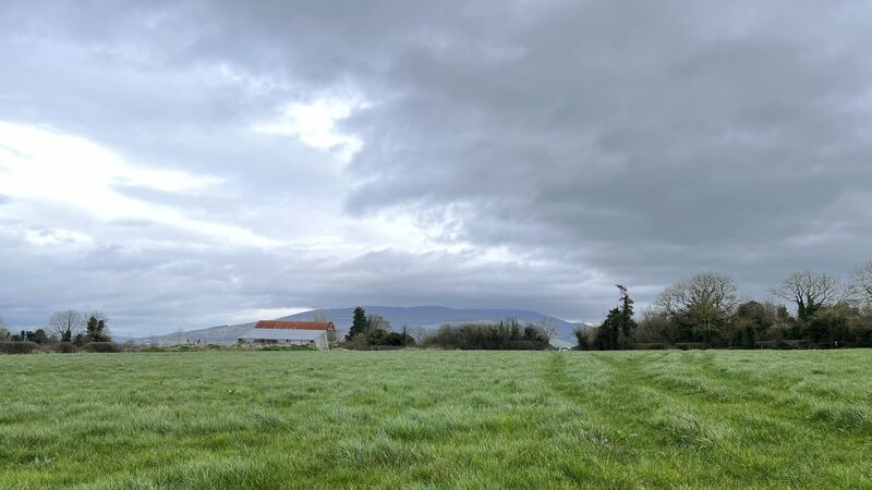 South Tipp parcel tops €30,000/acre at auction