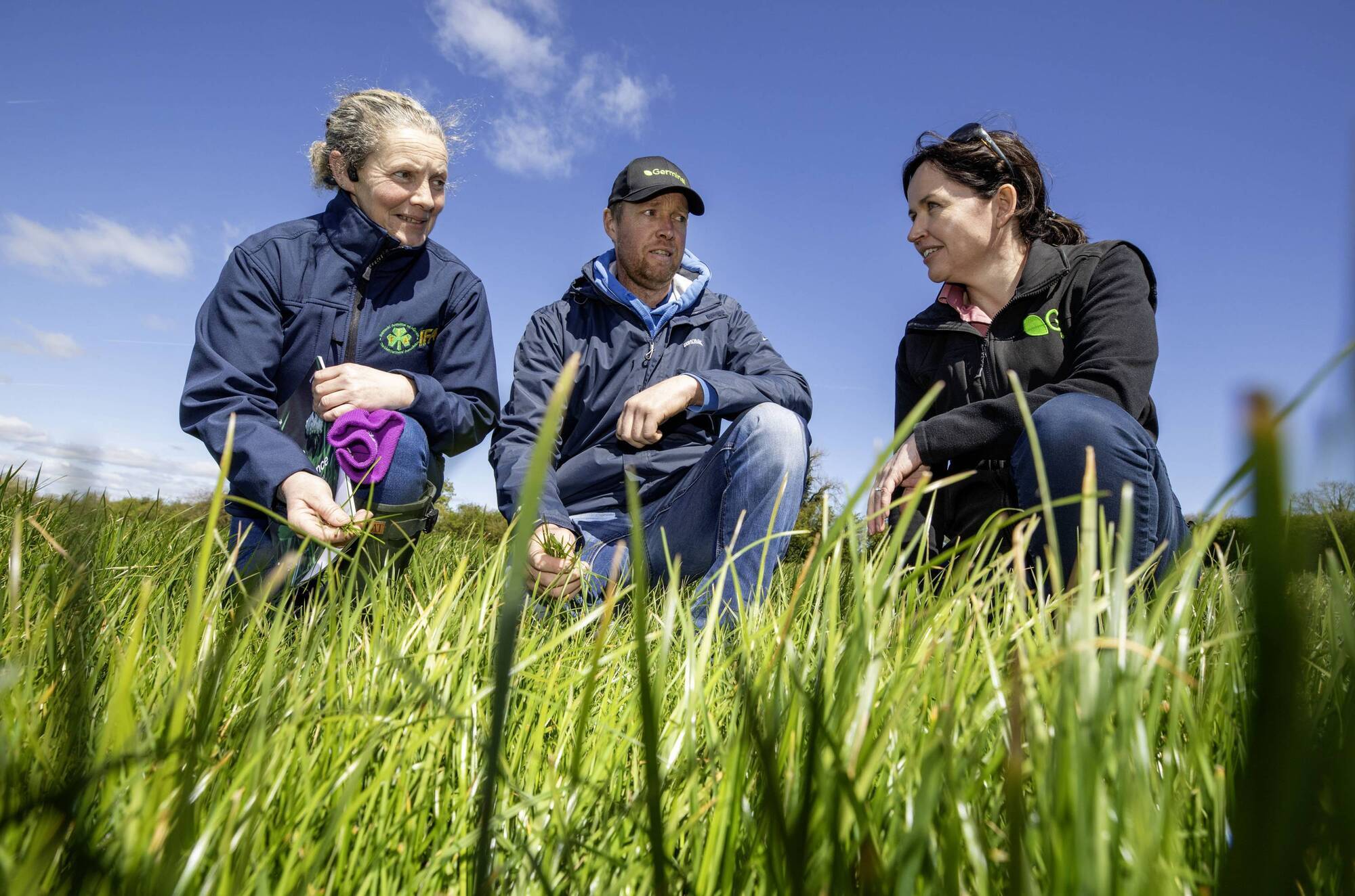 Using clover and multi-species sward management to push for more milk