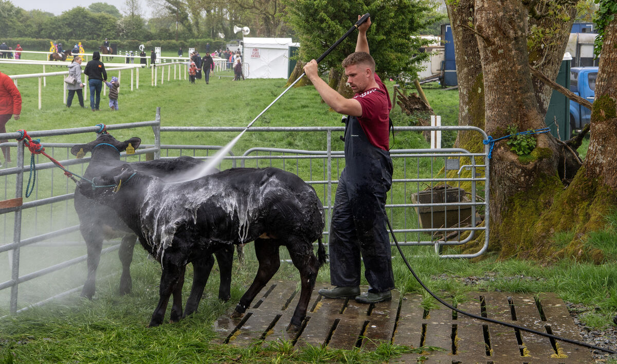 Daniel O'Donovan from Co Cork. Picture: Domnick Walsh © Eye Focus LTD 