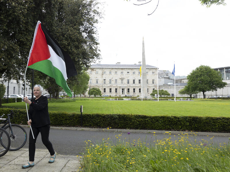 Bríd Smith said: 'This day is all about Palestine. Why I’m here is because we repeatedly asked for the Oireachtas to fly this flag for one day, Nakba Day.' Picture: Sam Boal/Collins Photos.