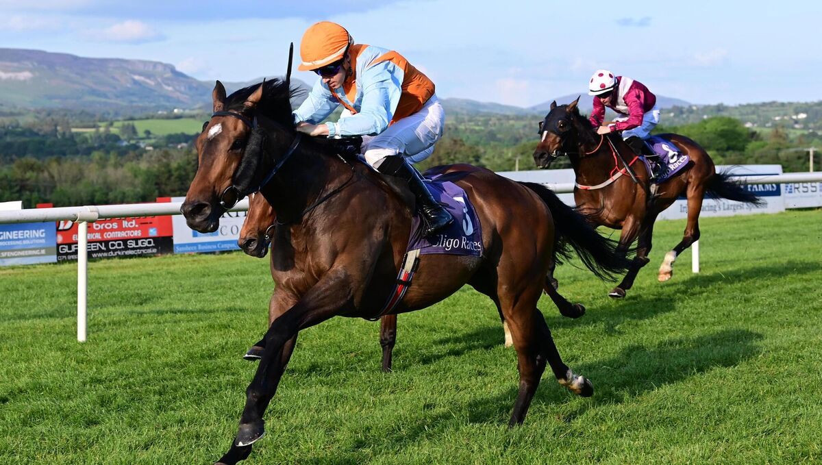 Carlo Bianconi and Wayne Hassett win the Web The Tool Hire handicap at Sligo. Picture: Healy Racing
