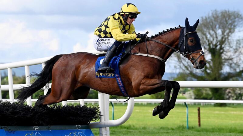 Salvator Mundi revels in class of his own at Tipperary