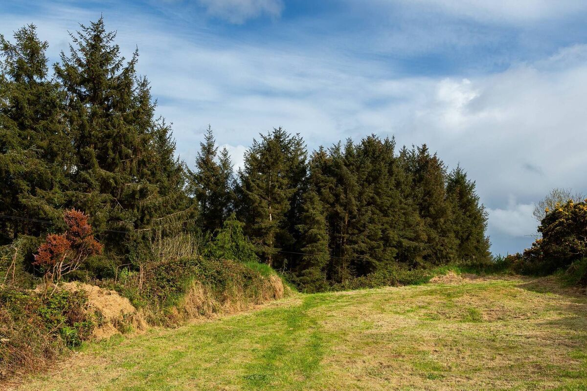 Pastures new? Cottage is on two acres Pastures new? Cottage is on two acres