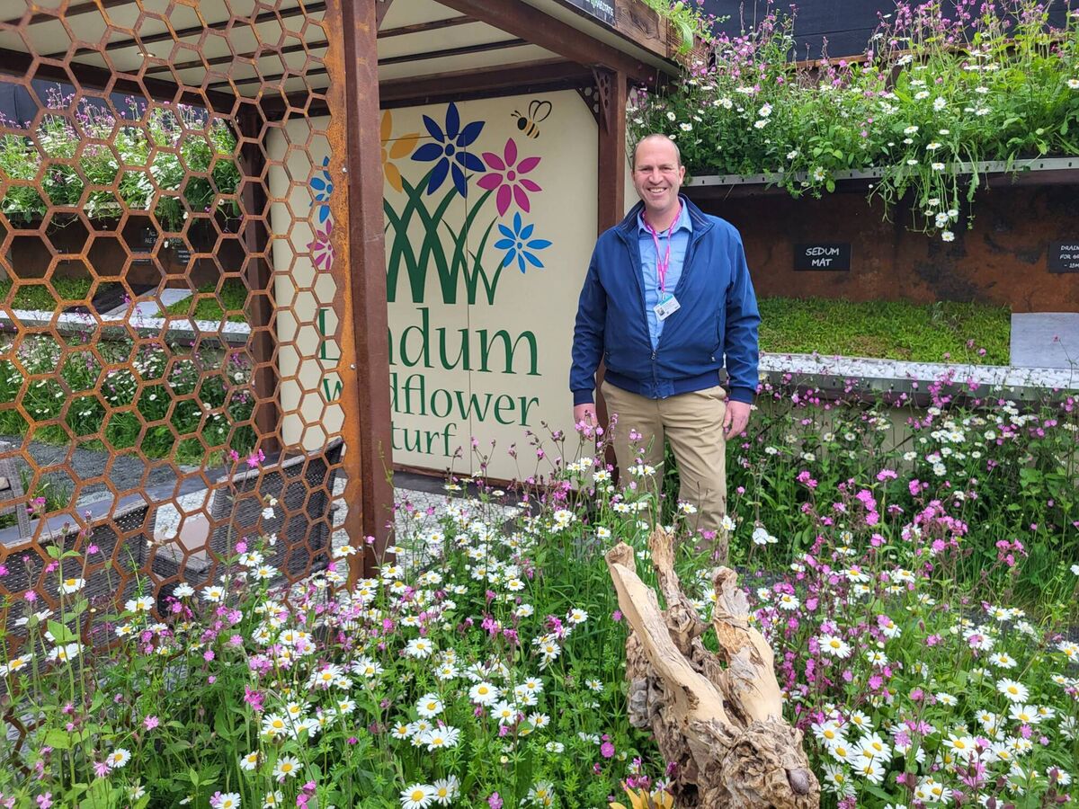 Peter Dowdall at the Chelsea Flower Show which has banned the use of artificial grass.