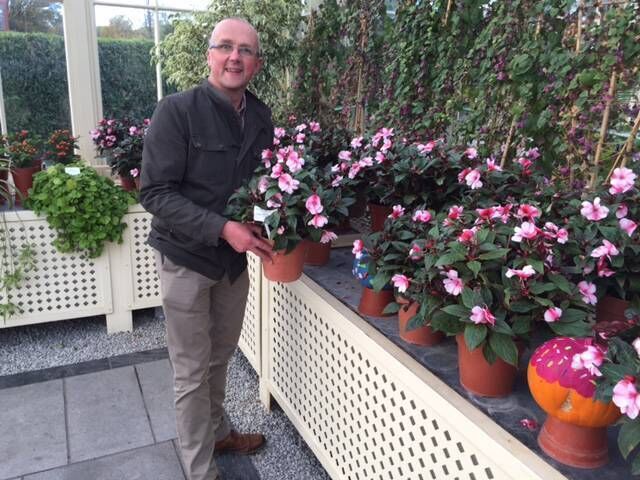Gardener Paraic Horkan will give presentations at the Mallow Home &amp; Garden Festival. 