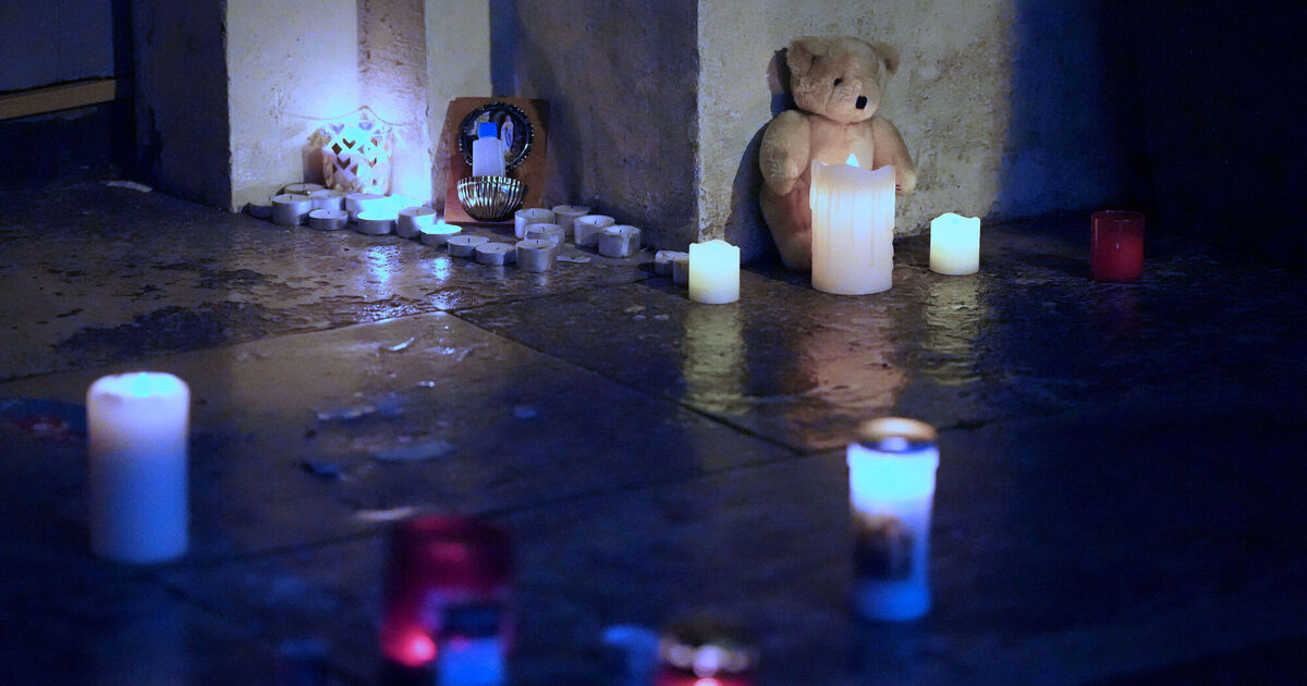 ダブリン刺殺事件の5歳児の母親が声を上げる