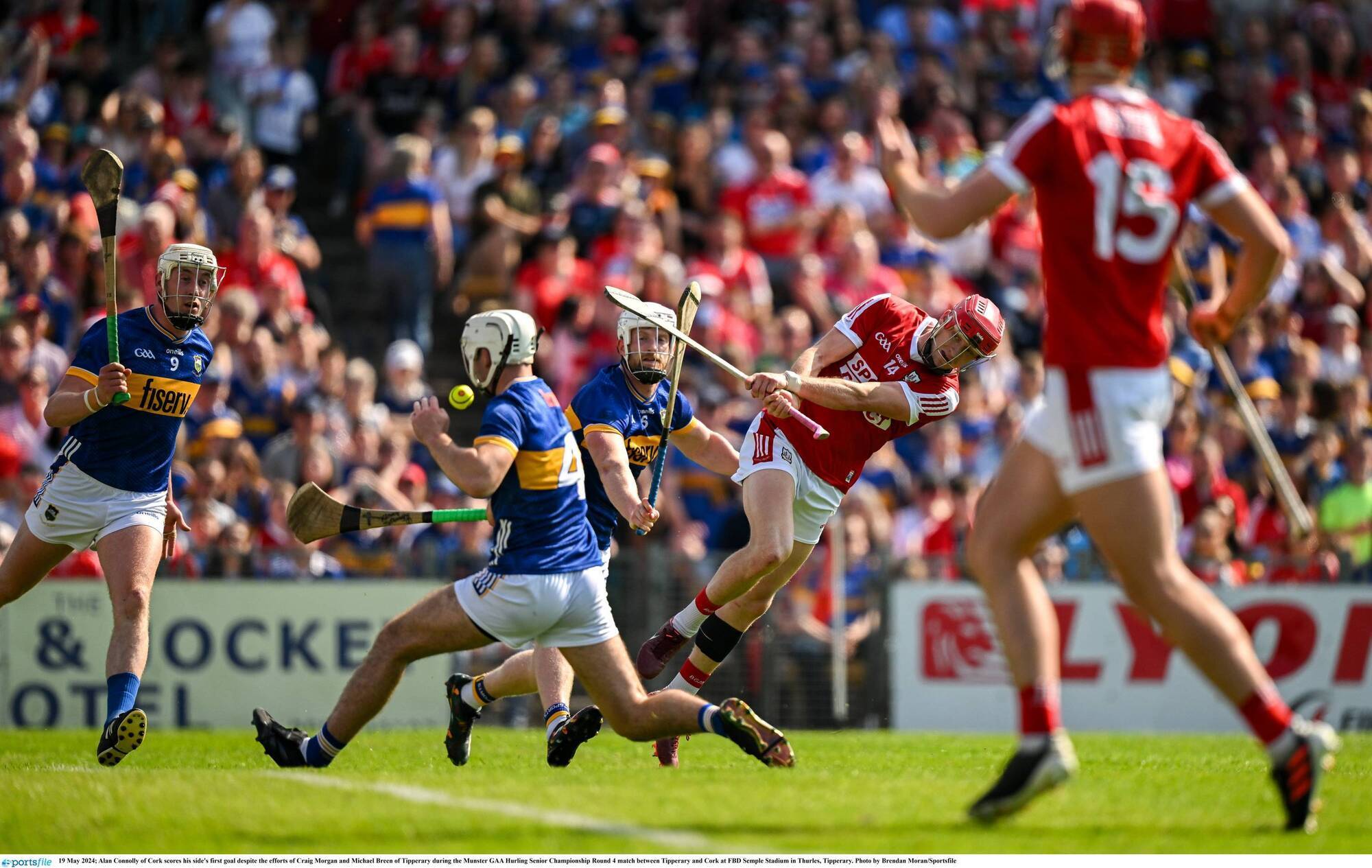 Tipperary v Cork: Surely not the end for the rising Rebels