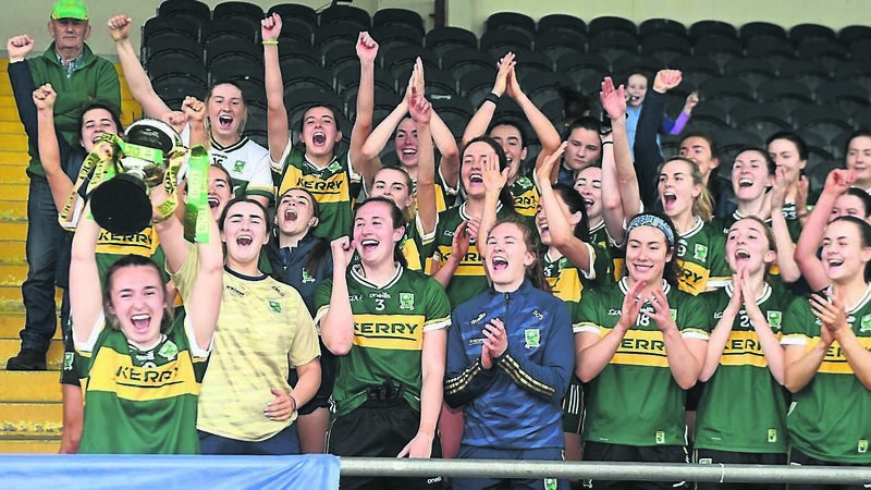 Dineen goal gets Kerry out of sticky situation