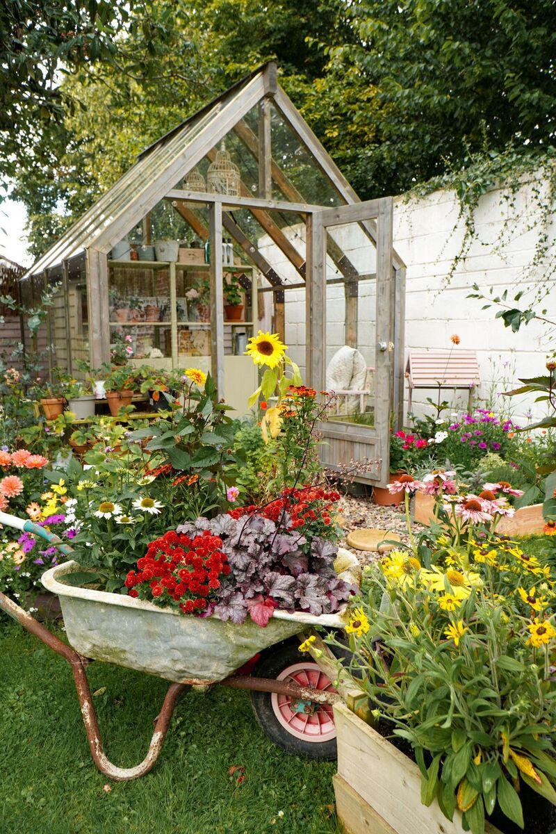  The glasshouse is a preloved purchase/