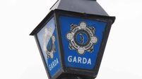 Man, 30s, killed in single-vehicle crash in Offaly