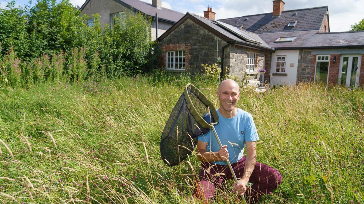 Jesmond Harding, author of "The Irish Butterfly Book" published in 2021, runs the charity Butterfly Conservation Ireland Jesmond Harding, author of "The Irish Butterfly Book" published in 2021, runs the charity Butterfly Conservation Ireland