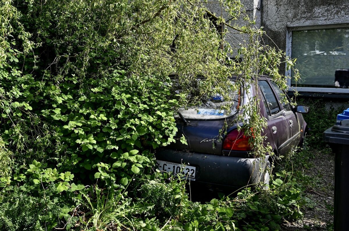 Pest control experts went into the house and found the woman’s remains, before reporting the matter to gardaí. Picture: Chani Anderson