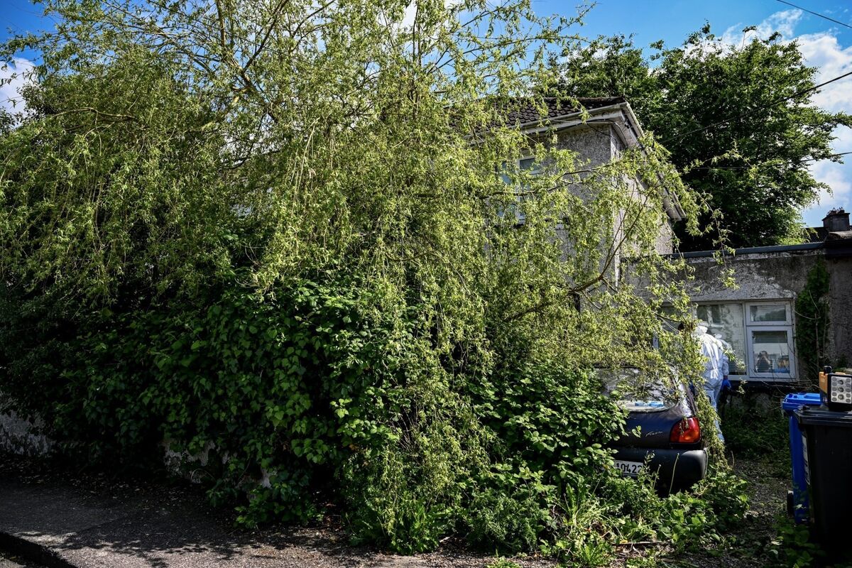 The coroner enters the badly overgrown property at 13 Brookfield Lawn in Cork city where a body of a woman was discovered. Picture: Chani Anderson