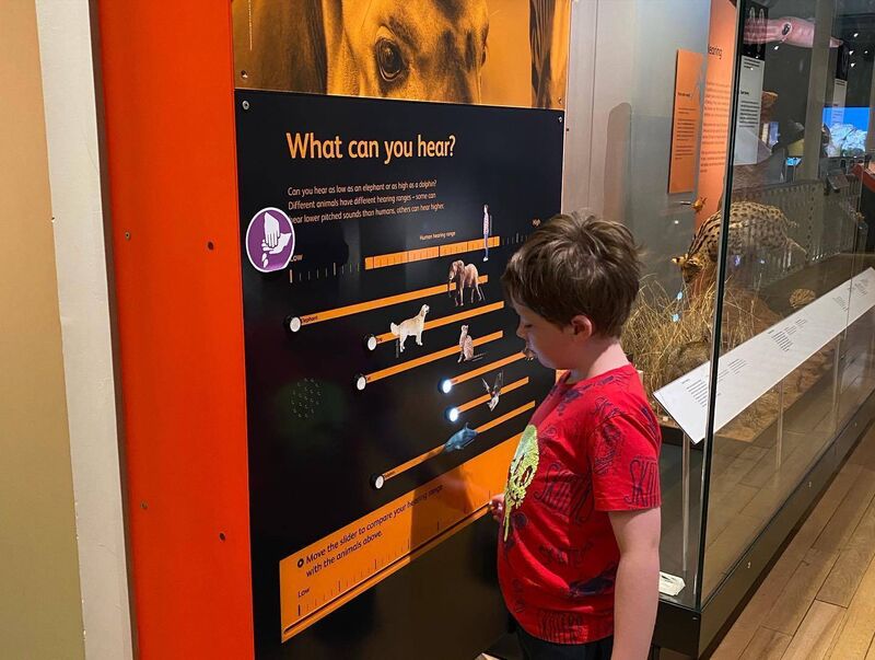 David O'Mahony's son Jacob. Some things that might be considered normal family activities don’t work out for us, though that doesn’t stop us doing things. 